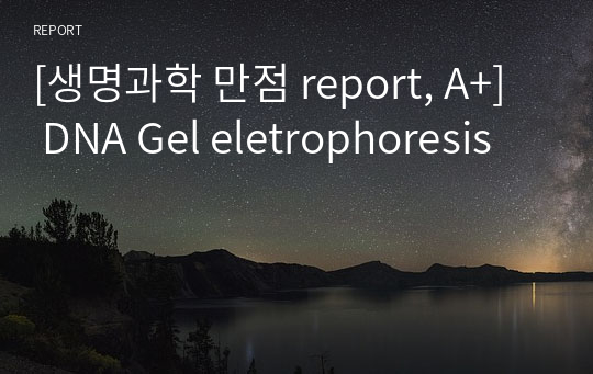 [생명과학 만점 report, A+]  DNA Gel eletrophoresis