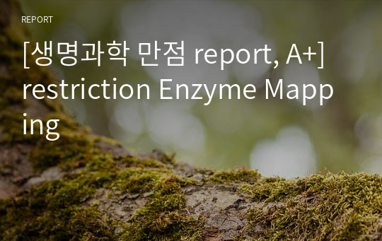 [생명과학 만점 report, A+] restriction Enzyme Mapping