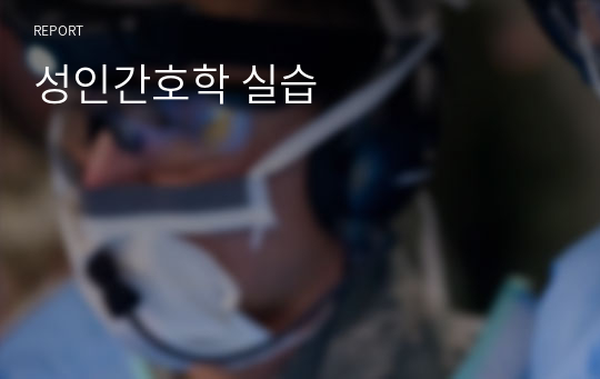 성인간호학 실습