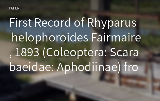 First Record of Rhyparus helophoroides Fairmaire, 1893 (Coleoptera: Scarabaeidae: Aphodiinae) from Korea