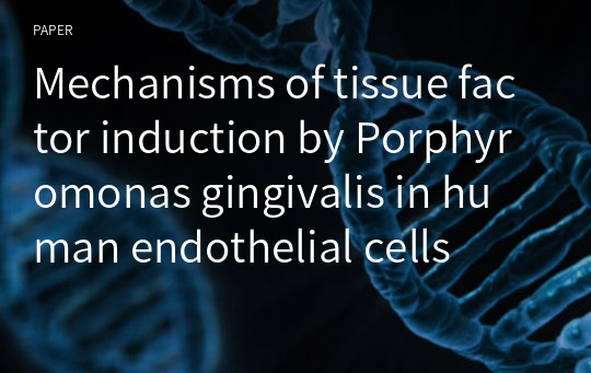 Mechanisms of tissue factor induction by Porphyromonas gingivalis in human endothelial cells