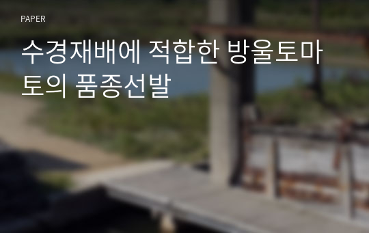 수경재배에 적합한 방울토마토의 품종선발