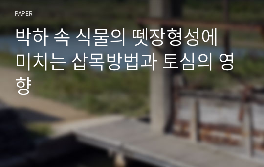 박하 속 식물의 뗏장형성에 미치는 삽목방법과 토심의 영향