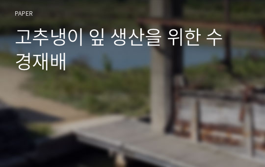 고추냉이 잎 생산을 위한 수경재배