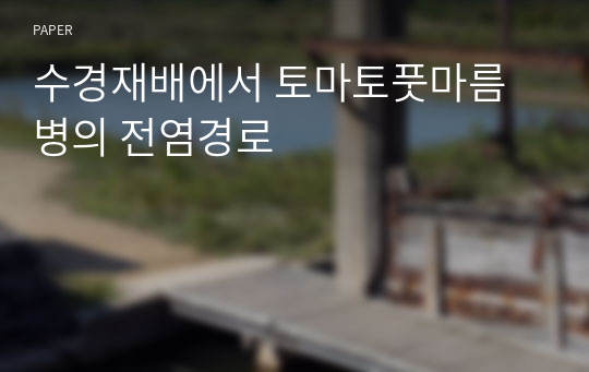 수경재배에서 토마토풋마름병의 전염경로