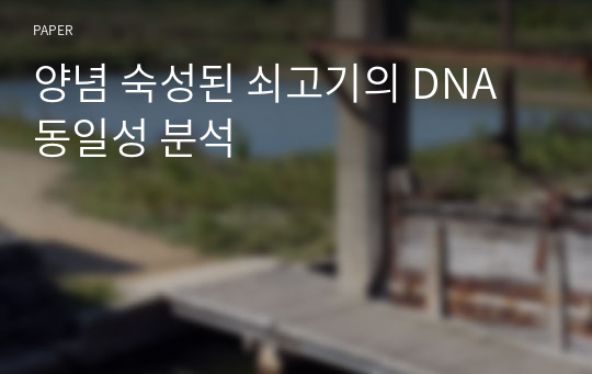 양념 숙성된 쇠고기의 DNA 동일성 분석