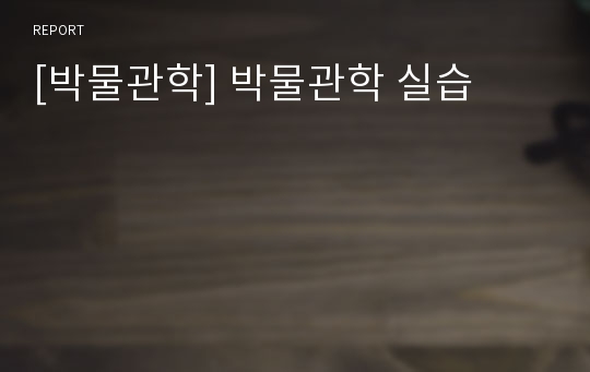 [박물관학] 박물관학 실습