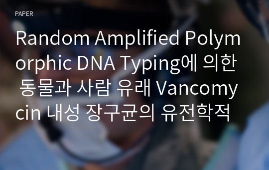 Random Amplified Polymorphic DNA Typing에 의한 동물과 사람 유래 Vancomycin 내성 장구균의 유전학적 비교