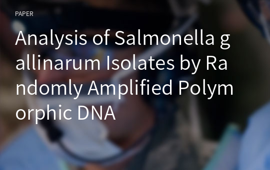 Analysis of Salmonella gallinarum Isolates by Randomly Amplified Polymorphic DNA