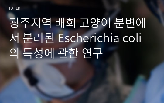 광주지역 배회 고양이 분변에서 분리된 Escherichia coli의 특성에 관한 연구