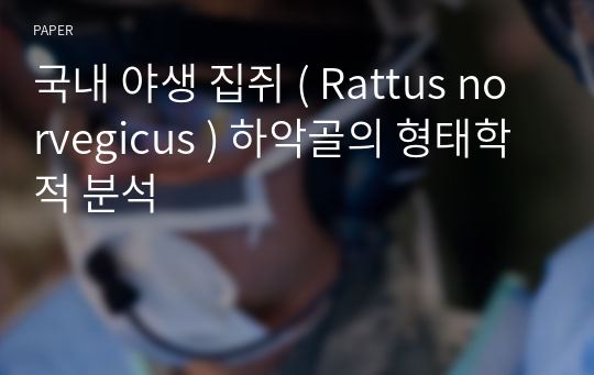 국내 야생 집쥐 ( Rattus norvegicus ) 하악골의 형태학적 분석