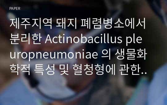 제주지역 돼지 폐렴병소에서 분리한 Actinobacillus pleuropneumoniae 의 생물화학적 특성 및 혈청형에 관한 연구