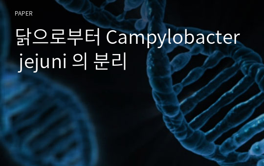 닭으로부터 Campylobacter jejuni 의 분리