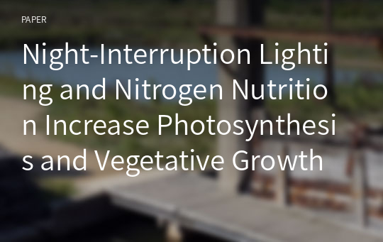 Night-Interruption Lighting and Nitrogen Nutrition Increase Photosynthesis and Vegetative Growth in Cymbidium Orchids