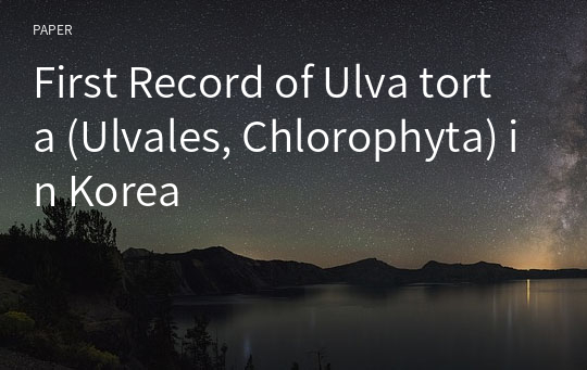 First Record of Ulva torta (Ulvales, Chlorophyta) in Korea