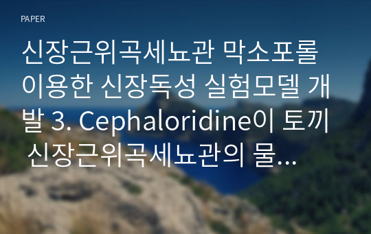 신장근위곡세뇨관 막소포롤 이용한 신장독성 실험모델 개발 3. Cephaloridine이 토끼 신장근위곡세뇨관의 물질이동에 미치는 영향