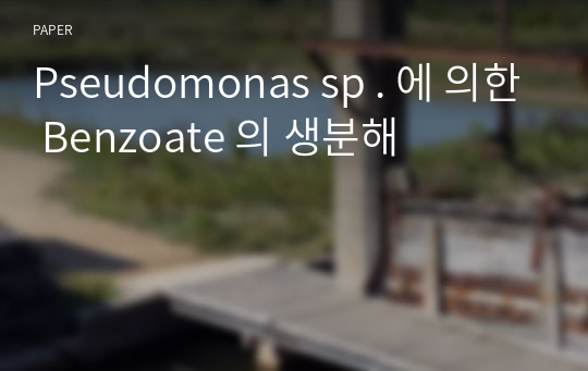 Pseudomonas sp . 에 의한 Benzoate 의 생분해