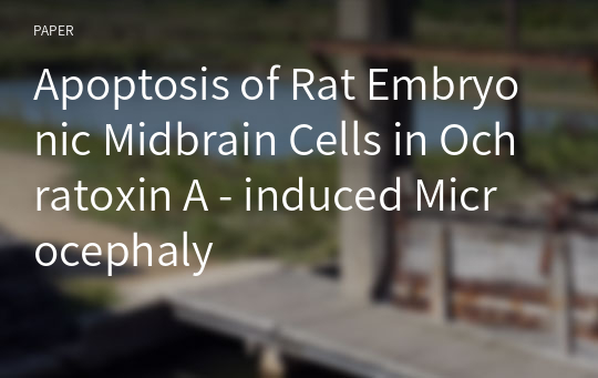 Apoptosis of Rat Embryonic Midbrain Cells in Ochratoxin A - induced Microcephaly