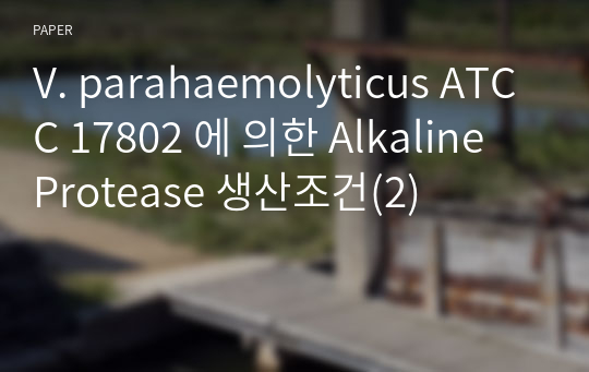 V. parahaemolyticus ATCC 17802 에 의한 Alkaline Protease 생산조건(2)