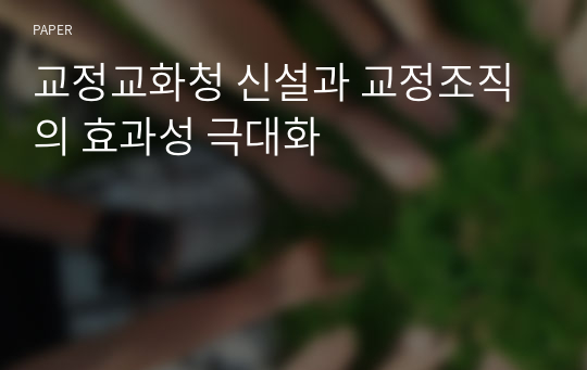 교정교화청 신설과 교정조직의 효과성 극대화