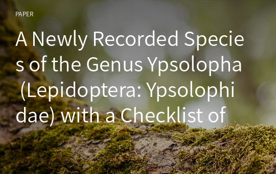 A Newly Recorded Species of the Genus Ypsolopha (Lepidoptera: Ypsolophidae) with a Checklist of Korea