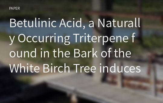 Betulinic Acid, a Naturally Occurring Triterpene found in the Bark of the White Birch Tree induces Apoptotic Cell Death in KB Cervical Cancer Cells through Specificity Protein 1 and its Downstream