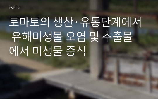 토마토의 생산·유통단계에서 유해미생물 오염 및 추출물에서 미생물 증식