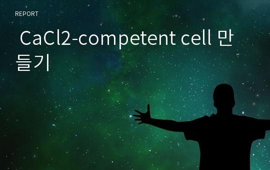  CaCl2-competent cell 만들기