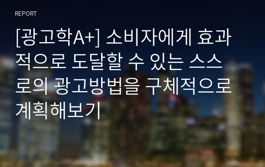 [광고학A+] 소비자에게 효과적으로 도달할 수 있는 스스로의 광고방법을 구체적으로 계획해보기