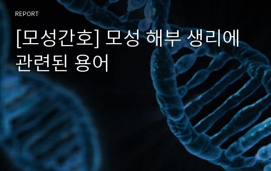 [모성간호] 모성 해부 생리에 관련된 용어