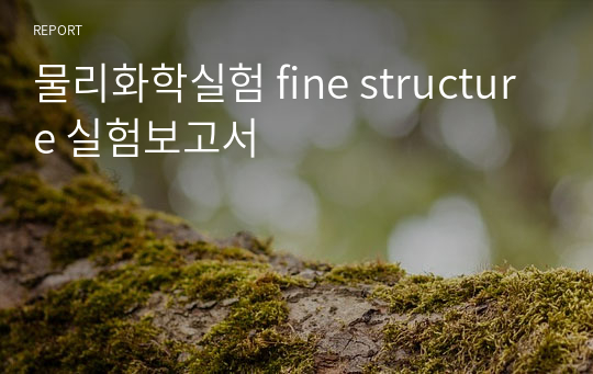 물리화학실험 fine structure 실험보고서