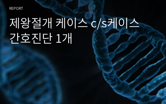 제왕절개 케이스 c/s케이스 간호진단 1개