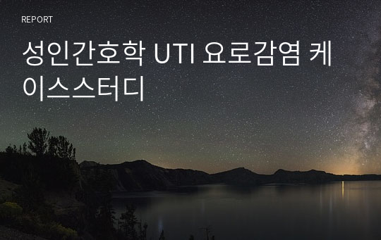 성인간호학 UTI 요로감염 케이스스터디