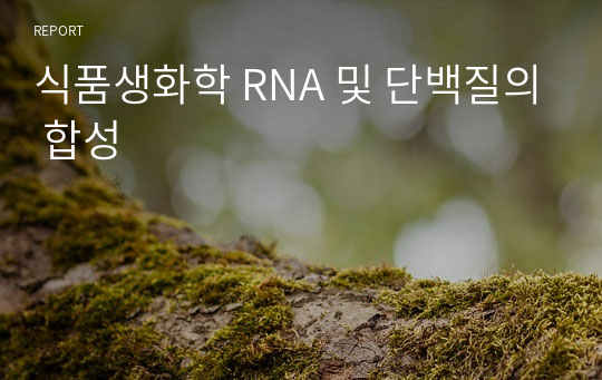 식품생화학 RNA 및 단백질의 합성