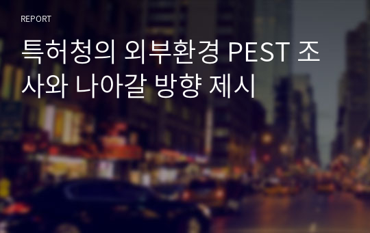 특허청의 외부환경 PEST 조사와 나아갈 방향 제시