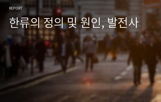 한류의 정의 및 원인, 발전사