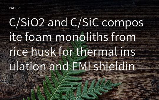 C/SiO2 and C/SiC composite foam monoliths from rice husk for thermal insulation and EMI shielding