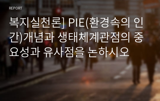 복지실천론] PIE(환경속의 인간)개념과 생태체계관점의 중요성과 유사점을 논하시오