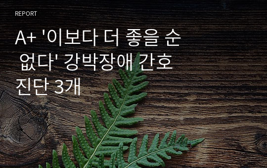 A+ &#039;이보다 더 좋을 순 없다&#039; 강박장애 간호진단 3개