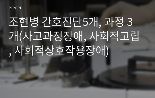 조현병 간호진단5개, 과정 3개(사고과정장애, 사회적고립, 사회적상호작용장애)