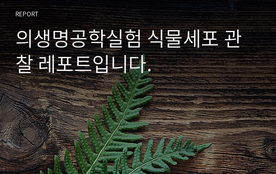 의생명공학실험 식물세포 관찰 레포트입니다.