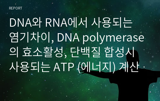 DNA와 RNA에서 사용되는 염기차이, DNA polymerase의 효소활성, 단백질 합성시 사용되는 ATP (에너지) 계산
