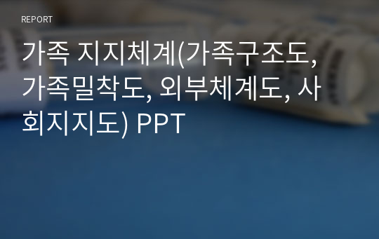 가족 지지체계(가족구조도, 가족밀착도, 외부체계도, 사회지지도) PPT