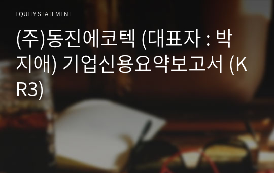 (주)성신 기업신용요약보고서 (KR3)