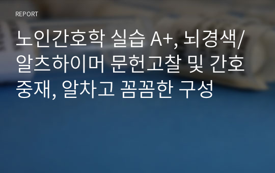 노인간호학 실습 A+, 뇌경색/알츠하이머 문헌고찰 및 간호중재, 알차고 꼼꼼한 구성