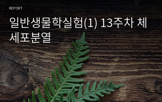 일반생물학실험(1) 13주차 체세포분열