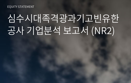 심수시대족격광과기고빈유한공사 기업분석 보고서 (NR2)