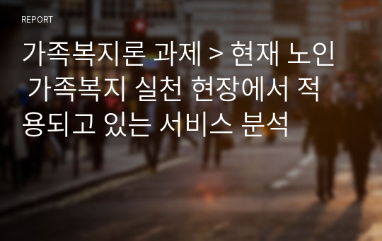 가족복지론 과제 &gt; 현재 노인 가족복지 실천 현장에서 적용되고 있는 서비스 분석