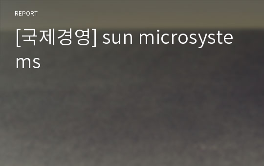 [국제경영] sun microsystems