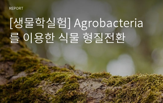 [생물학실험] Agrobacteria를 이용한 식물 형질전환